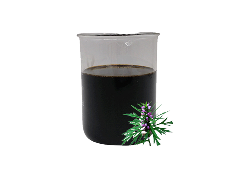 益母草浸膏